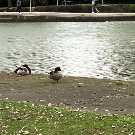 Appartement Sur Et Garage Au Stade De France A 2 Mn De Paris, 20 De Roissy Cdg Et 30 De La Defense Animaux Bienvenus Сен-Дени Экстерьер фото