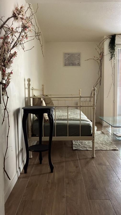Appartement Sur Et Garage Au Stade De France A 2 Mn De Paris, 20 De Roissy Cdg Et 30 De La Defense Animaux Bienvenus Сен-Дени Экстерьер фото