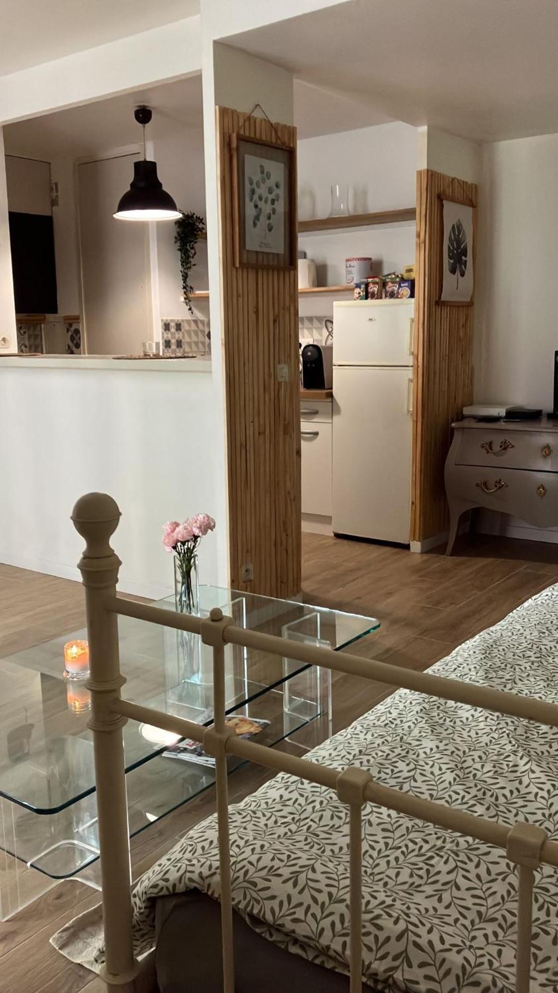 Appartement Sur Et Garage Au Stade De France A 2 Mn De Paris, 20 De Roissy Cdg Et 30 De La Defense Animaux Bienvenus Сен-Дени Экстерьер фото