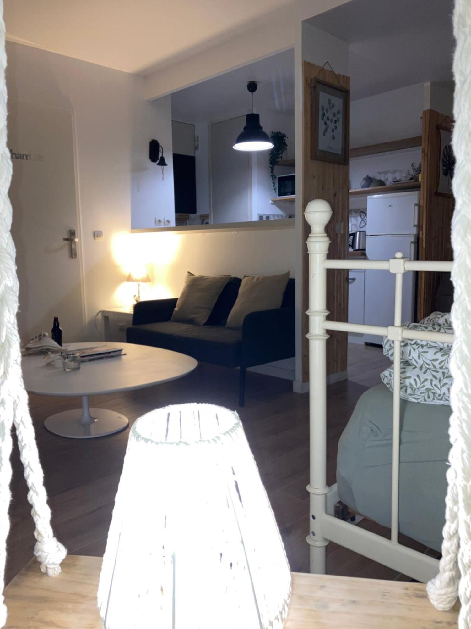 Appartement Sur Et Garage Au Stade De France A 2 Mn De Paris, 20 De Roissy Cdg Et 30 De La Defense Animaux Bienvenus Сен-Дени Экстерьер фото